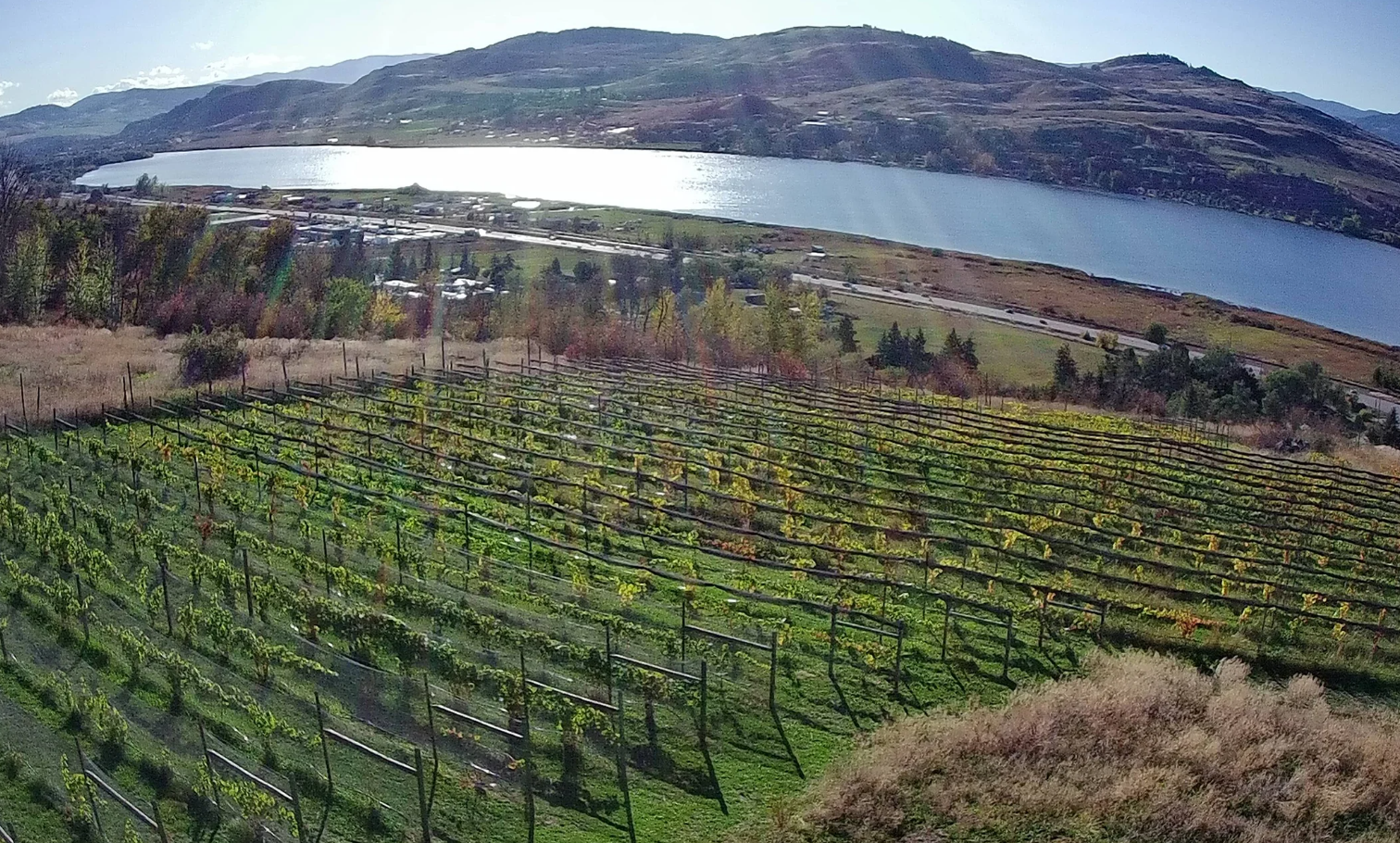 The Perch Winery