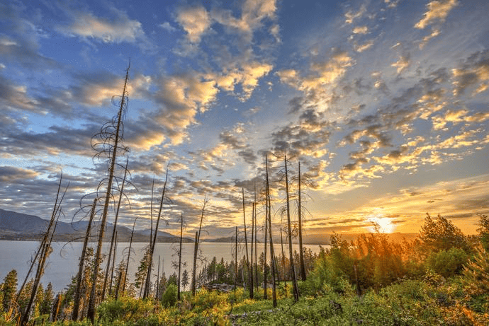 Burnt Timber Estate Winery