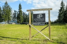 Ovino Winery