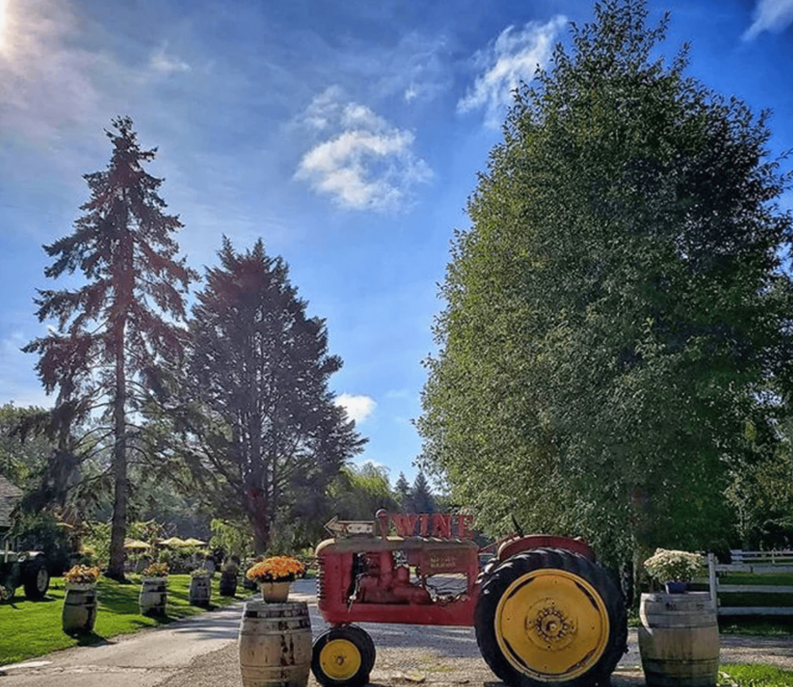 Richmond Country Farms & Vines
