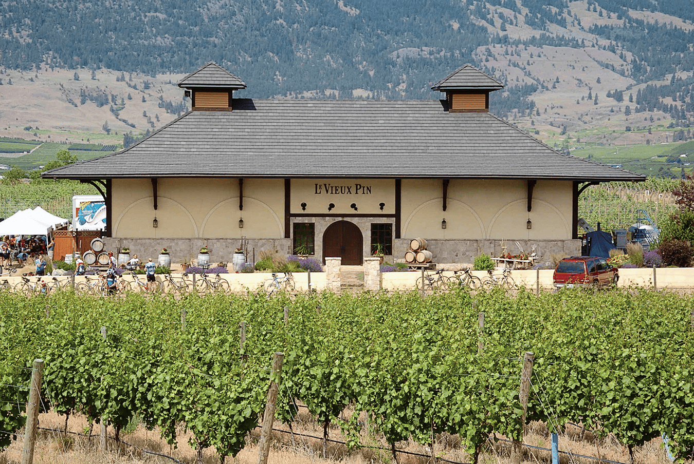 Le Vieux Pin Winery