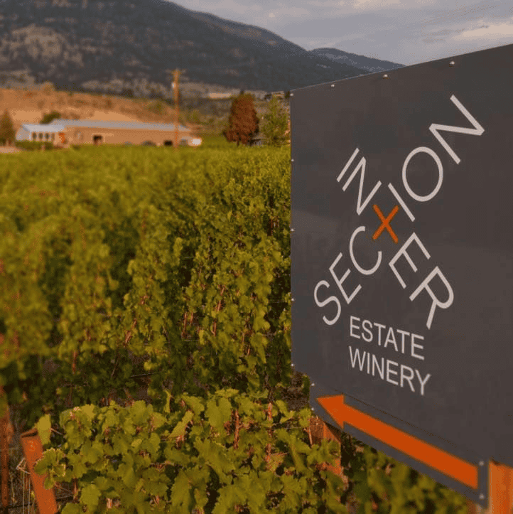 Intersection Estate Winery