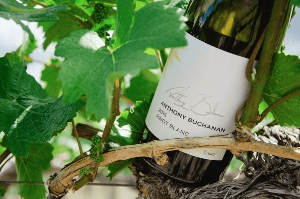 Anthony Buchanan Wines